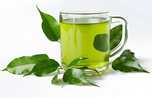 خواص و فواید چای سبز برای بدن
